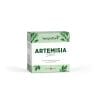 Eine Schachtel Artemisia Shot, verziert mit grünen botanischen Motiven und dem Swiss Made-Logo, enthält 20 Sticks mit Artemisia-Granulat, die direkt verwendet werden können.